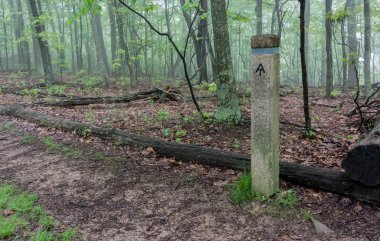 Arka Planda Foggy Ridge ile Marker at
