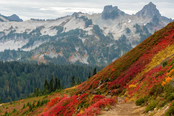 Pincel colorido ao longo da encosta da montanha com gama Tatoosh — Fotografia de Stock