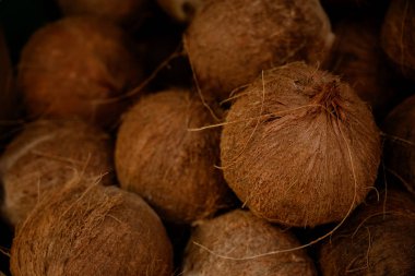 Büyük Hindistan Cevizi Kazık Üstüne Oturur