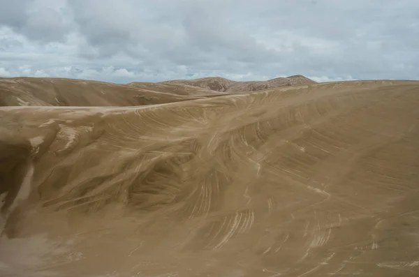 Brush Strokes in the Sand Dunes