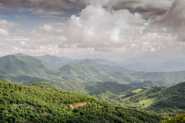 Cabana na floresta — Fotografia de Stock