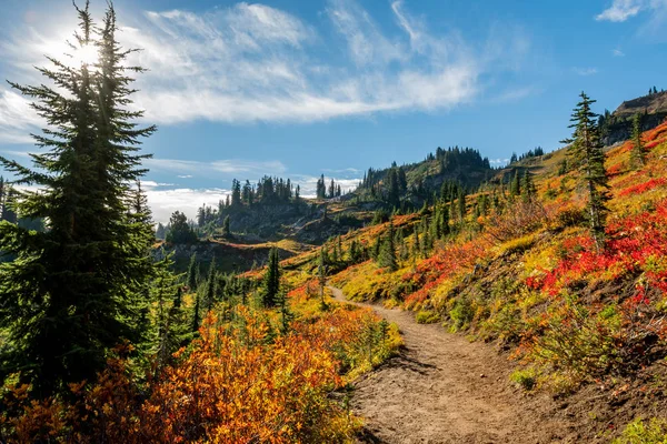 ワシントンの荒野の鮮やかな秋の色 — ストック写真