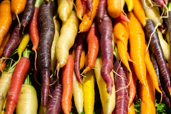 Закрытие советов Rainbow Carrots — стоковое фото