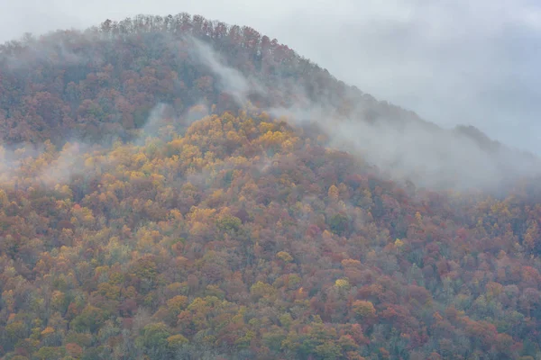 Herfst en rokerige mist — Stockfoto