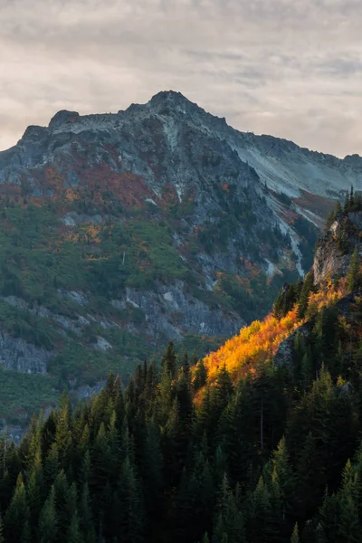 Spadek kolorów na stokach wokół Mt. Rainier — Zdjęcie stockowe