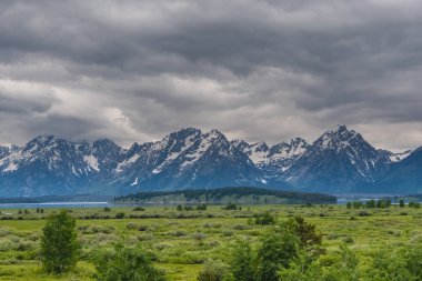 Grand Tetons önünde Bataklık Ovaları 