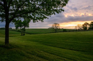 Rolling Kentucky Fields Üzerinde Sabah Tatili