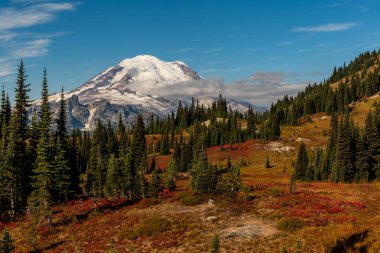 Mt. Rainier Tezgahları Alan Üzerinde
