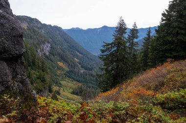 Tolmie Peak Trail From Valley Looking Down
