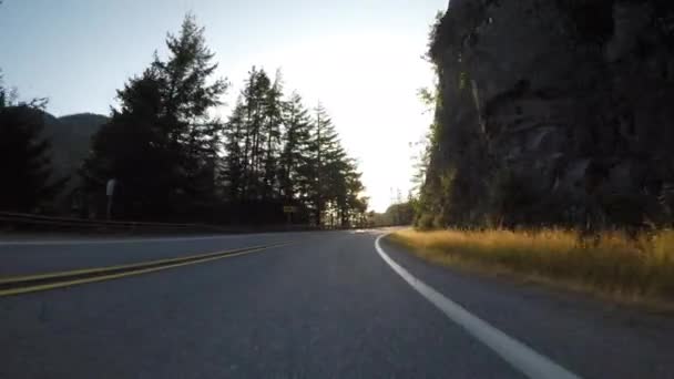 Le soleil lumineux jette des coups d'oeil par des arbres sur la route