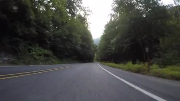 나무가 늘어선 도로를 울퉁불퉁 드라이브 — 비디오