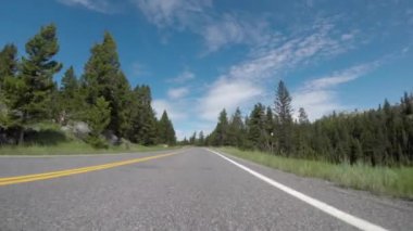 Açık Menzilli Sürücü içine Sığır Guard Crossing