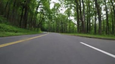 Kuzey Carolina Dağları'nda Erken Yaz Yeşil Orman through Sürüş