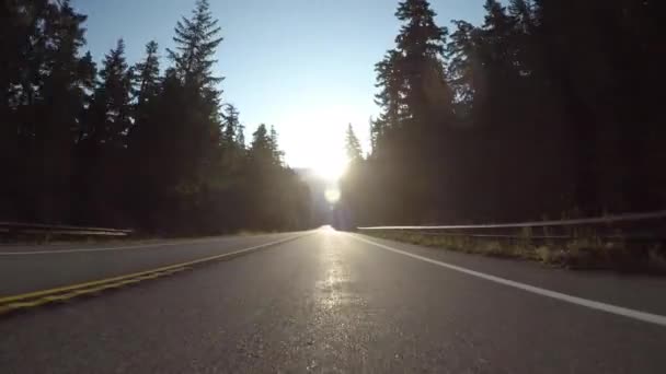 Conduciendo Directamente Hacia Sol Través Del Bosque Montaña — Vídeo de stock
