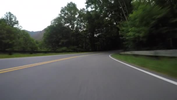 Driving Loop Smokies Summer — Stock Video