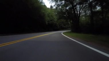 Treelined Mountain yolda Erken Sabah