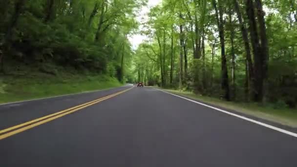 夏の国立公園の森を通ってオートバイに続く — ストック動画