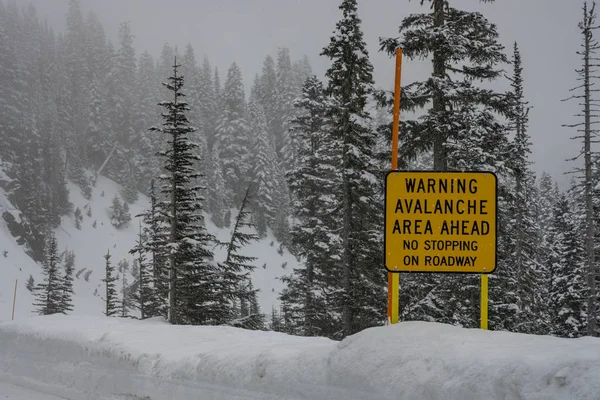 Çığ Alanı İleri İşareti