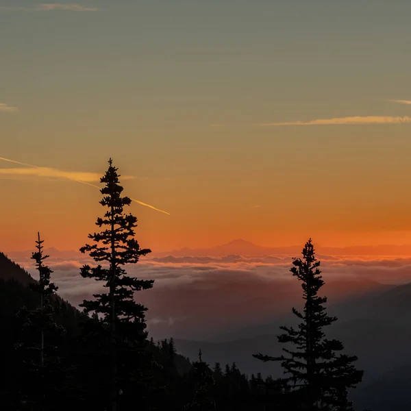 Mount Baker üzerinde turuncu Sunrise ile Bulutlu Vadisi — Stok fotoğraf