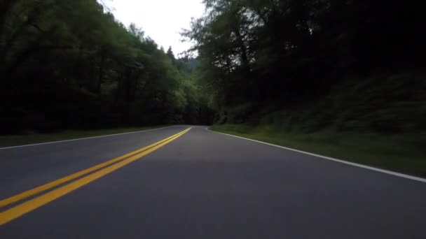 Low Angle Driving View Headlights — Stock Video