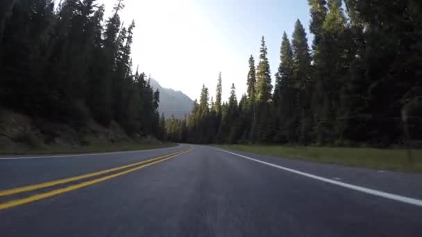 North Cascades Mountain Looms Road — Stock Video