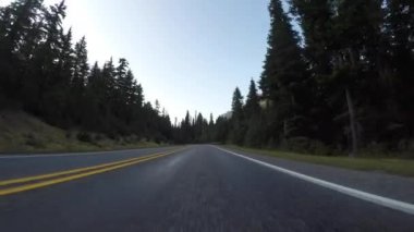 Çam Ağaçları Hattı Dağ Yolu