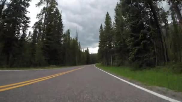 Przejście Yellowstone Park Narodowy Znak — Wideo stockowe
