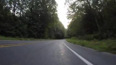 Yemyeşil Orman'da Yol Seviyesi Sürücü