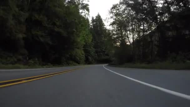 Curve Stradali Destra Poi Sinistra Attraverso Foresta — Video Stock