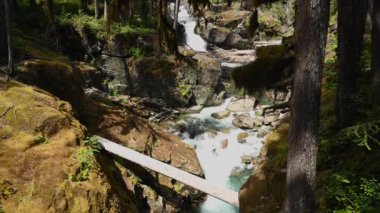 Gümüş Falls Washington vahşi kayalar aracılığıyla Rushes