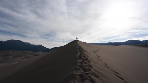 Silhouetted Woman Hikes Dune Crest – stockvideo