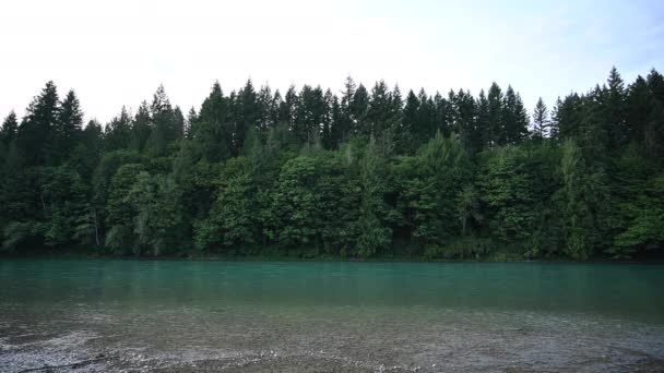 Skagit Fluss Und Wald Unter Hellem Himmel — Stockvideo