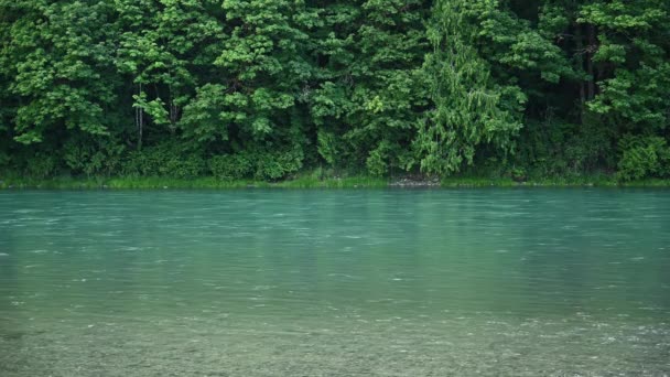 Río Skagit Fluye Cerca Pared Del Bosque Verde — Vídeo de stock