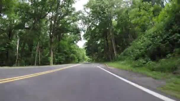 Directamente Través Del Bosque Las Montañas Humeantes — Vídeo de stock