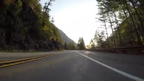 Sol Brilla Brillantemente Través Los Árboles Largo Carretera — Vídeo de stock