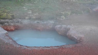 Çimenli Alanın Kenarında Termal Saksı Takımları