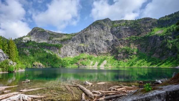 Thornton Lake Washington Wilderness Vanuit Een Lage Hoek — Stockvideo