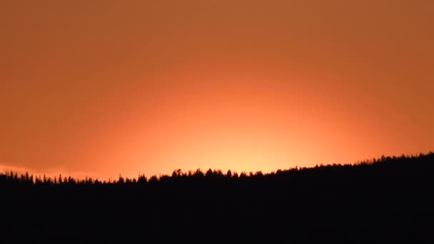 Línea Árboles Brilla Atardecer — Vídeos de Stock