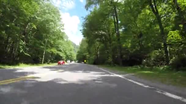 Tráfico Aparcado Largo Carretera Cueva Alumbre Los Ahumados — Vídeo de stock