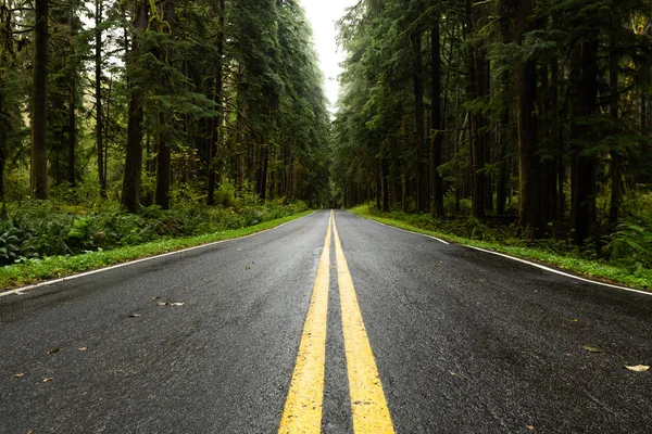 Wet Country Road en Washington Bajo Ángulo — Foto de Stock