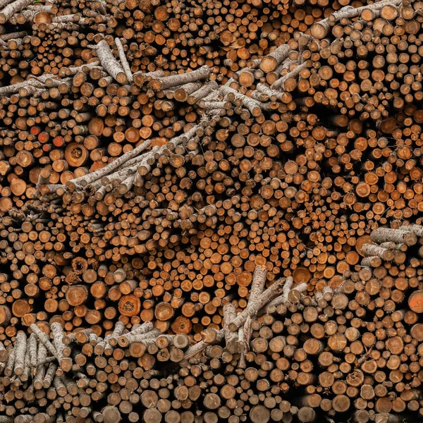 Wide View of Logged Wood — Stock Photo, Image