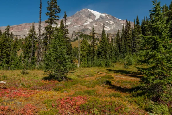 Cores de outono cobrir o solo abaixo Mount Rainier — Fotografia de Stock