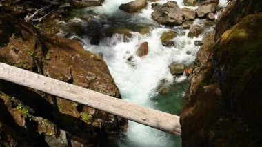Washington vahşi doğada Aqua Su Over Weathered Tree Trunk