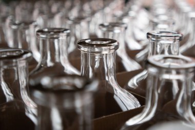 Burbon Ile Doldurulmayı Bekleyen Boş Cam Kavanozlar