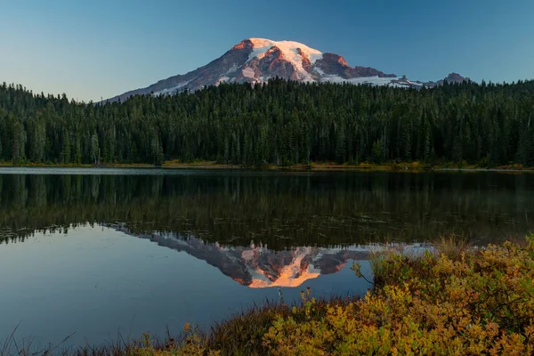 Morgenlys gløder på Mount Rainier - Stock-foto