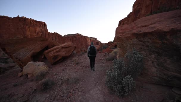 Mochilero Mujer Camina Través Del Desierto Suave Luz Mañana — Vídeo de stock
