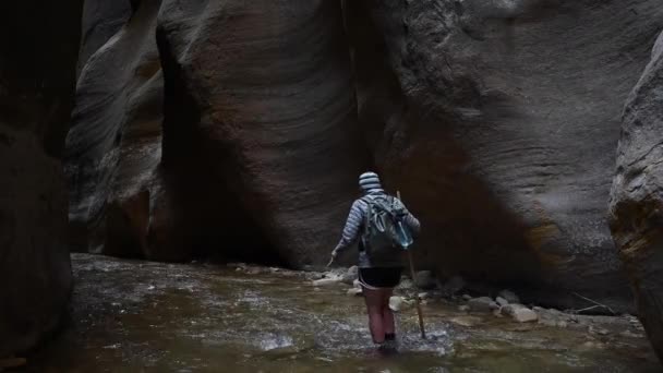 Vrouw Gezwollen Jas Wandelingen Weg Door Smal — Stockvideo