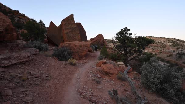 Vrouw Met Rugzak Wandelingen Rond Boulders Door Woestijn — Stockvideo