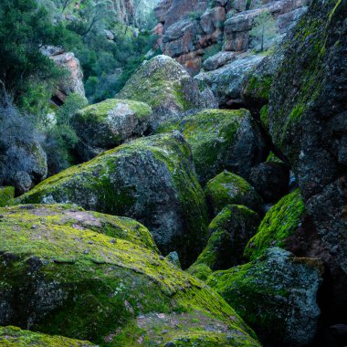 Yosunlu Kaya Bloğu Kanyonu