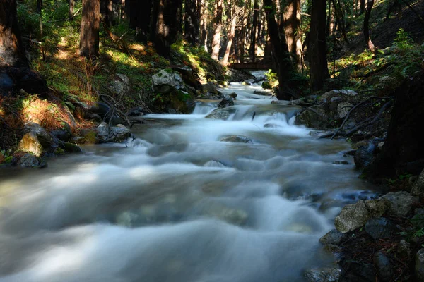 Limekiln Eyalet Ormanında Nehir Ormandan Geçiyor — Stok fotoğraf